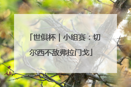 世俱杯｜小组赛：切尔西不敌弗拉门戈