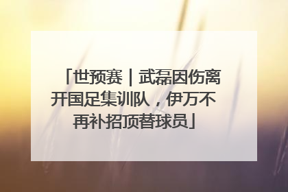 世预赛｜武磊因伤离开国足集训队，伊万不再补招顶替球员