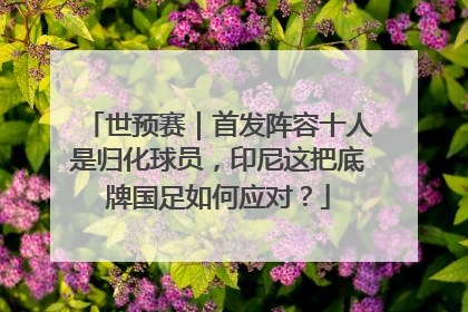 世预赛｜首发阵容十人是归化球员，印尼这把底牌国足如何应对？