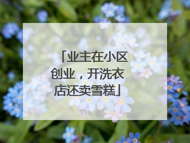 业主在小区创业，开洗衣店还卖雪糕