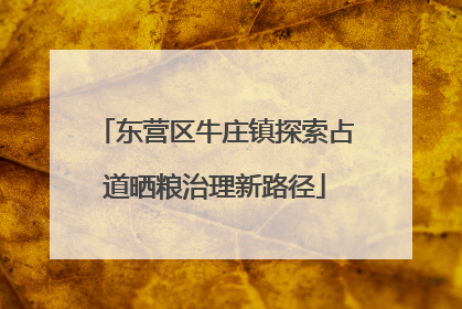 东营区牛庄镇探索占道晒粮治理新路径