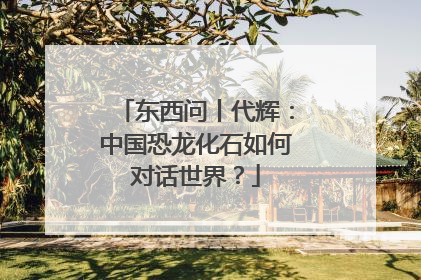 东西问丨代辉：中国恐龙化石如何对话世界？