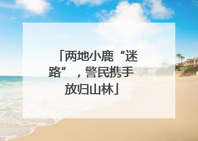两地小鹿“迷路”，警民携手放归山林