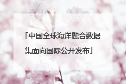 中国全球海洋融合数据集面向国际公开发布
