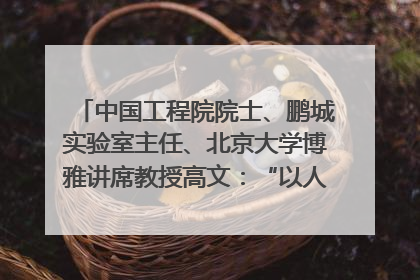 中国工程院院士、鹏城实验室主任、北京大学博雅讲席教授高文：“以人为本 智能向善” 推动文化与科技相生相促｜聚焦2025文化强国建设高峰论坛