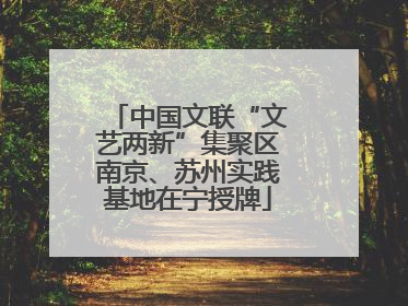 中国文联“文艺两新”集聚区南京、苏州实践基地在宁授牌