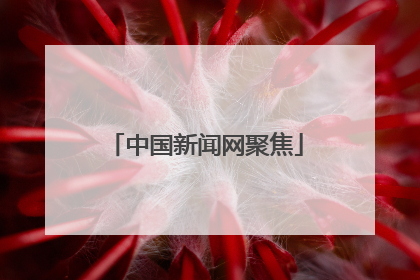 中国新闻网聚焦