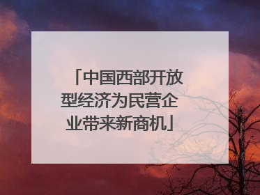 中国西部开放型经济为民营企业带来新商机