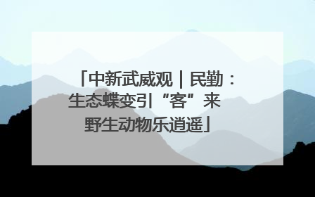 中新武威观｜民勤：生态蝶变引“客”来 野生动物乐逍遥