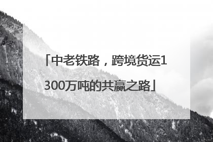 中老铁路，跨境货运1300万吨的共赢之路