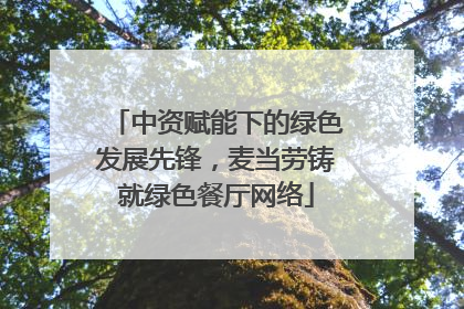 中资赋能下的绿色发展先锋，麦当劳铸就绿色餐厅网络