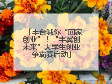 丰台喊你“回家创业”！“丰翼创未来”大学生创业争霸赛启动