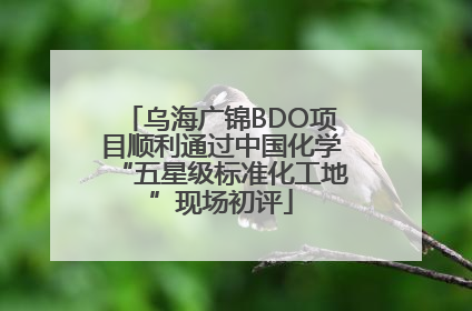 乌海广锦BDO项目顺利通过中国化学“五星级标准化工地”现场初评