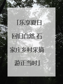 乐享夏日 回归自然 石家庄乡村采摘游正当时