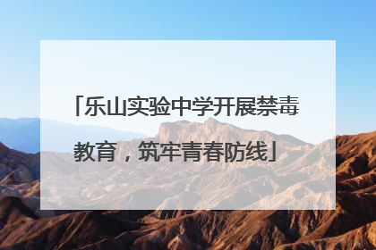 乐山实验中学开展禁毒教育，筑牢青春防线