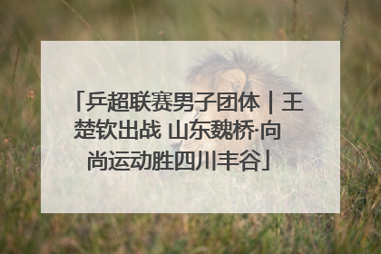 乒超联赛男子团体｜王楚钦出战 山东魏桥·向尚运动胜四川丰谷