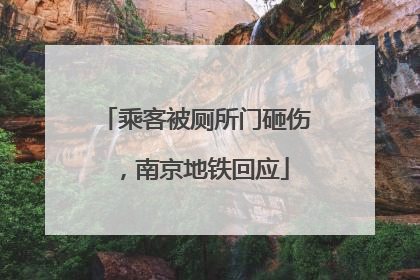 乘客被厕所门砸伤，南京地铁回应