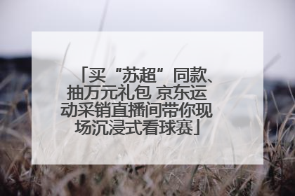 买“苏超”同款、抽万元礼包 京东运动采销直播间带你现场沉浸式看球赛