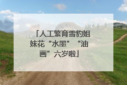 人工繁育雪豹姐妹花“水墨”“油画”六岁啦
