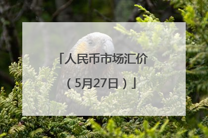 人民币市场汇价（5月27日）