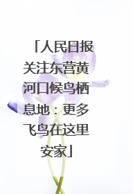 人民日报关注东营黄河口候鸟栖息地：更多飞鸟在这里安家