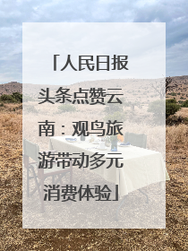 人民日报头条点赞云南：观鸟旅游带动多元消费体验