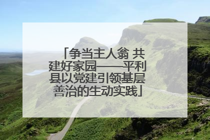 争当主人翁 共建好家园——平利县以党建引领基层善治的生动实践