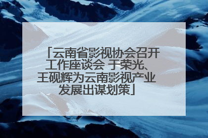 云南省影视协会召开工作座谈会 于荣光、王砚辉为云南影视产业发展出谋划策