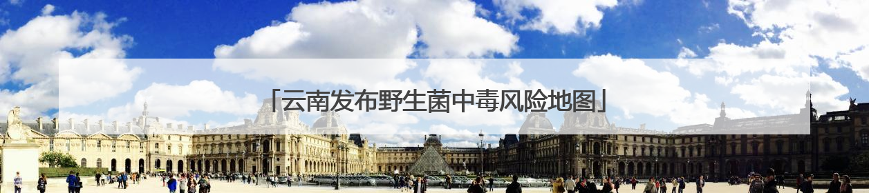 云南发布野生菌中毒风险地图