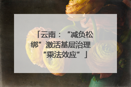 云南：“减负松绑”激活基层治理“乘法效应”