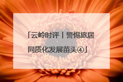 云岭时评丨警惕旅居同质化发展苗头④