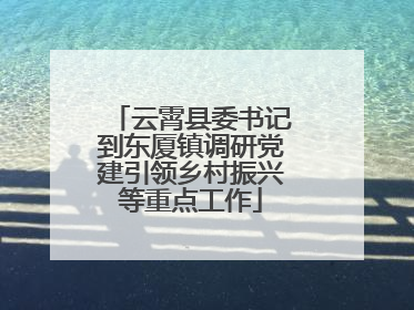 云霄县委书记到东厦镇调研党建引领乡村振兴等重点工作