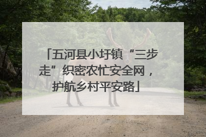 五河县小圩镇“三步走”织密农忙安全网，护航乡村平安路