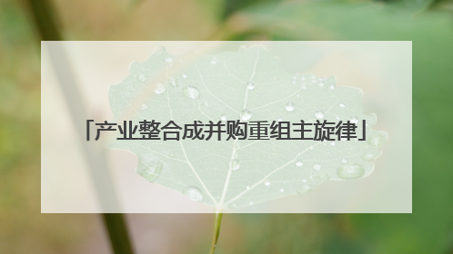 产业整合成并购重组主旋律