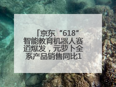 京东“618”智能教育机器人赛道爆发，元萝卜全系产品销售同比171%成黑马