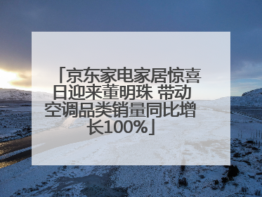 京东家电家居惊喜日迎来董明珠 带动空调品类销量同比增长100%