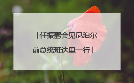任振鹤会见尼泊尔前总统班达里一行