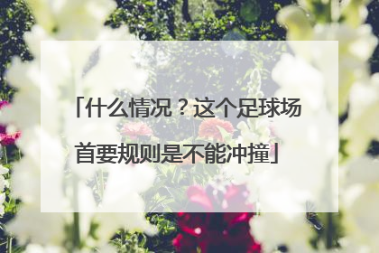 什么情况？这个足球场首要规则是不能冲撞