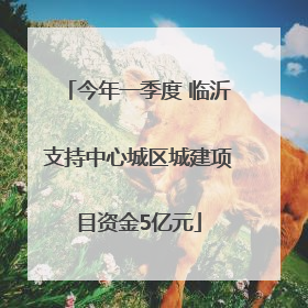 今年一季度 临沂支持中心城区城建项目资金5亿元