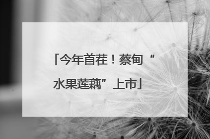 今年首茬！蔡甸“水果莲藕”上市