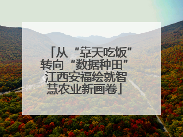从“靠天吃饭”转向“数据种田” 江西安福绘就智慧农业新画卷