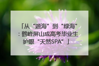 从“题海”到“绿海”：鹤峰屏山成高考毕业生护眼“天然SPA”