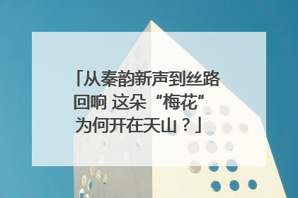 从秦韵新声到丝路回响 这朵“梅花”为何开在天山？