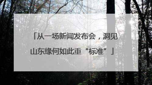 从一场新闻发布会，洞见山东缘何如此重“标准”