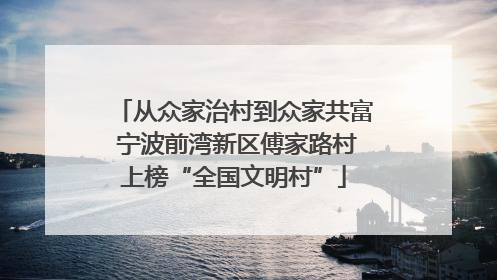从众家治村到众家共富 宁波前湾新区傅家路村上榜“全国文明村”