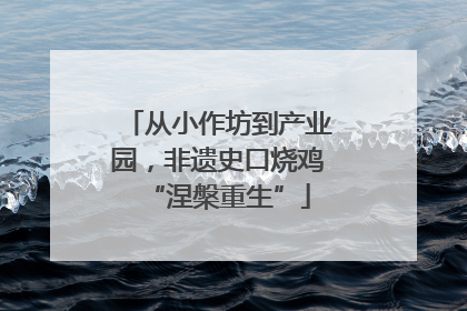 从小作坊到产业园，非遗史口烧鸡“涅槃重生”