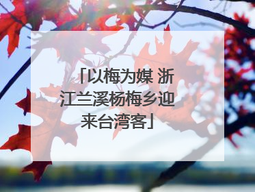 以梅为媒 浙江兰溪杨梅乡迎来台湾客
