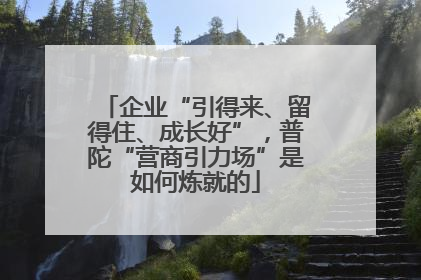 企业“引得来、留得住、成长好”，普陀“营商引力场”是如何炼就的