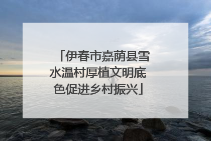伊春市嘉荫县雪水温村厚植文明底色促进乡村振兴