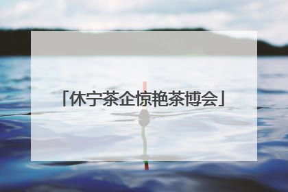 休宁茶企惊艳茶博会
